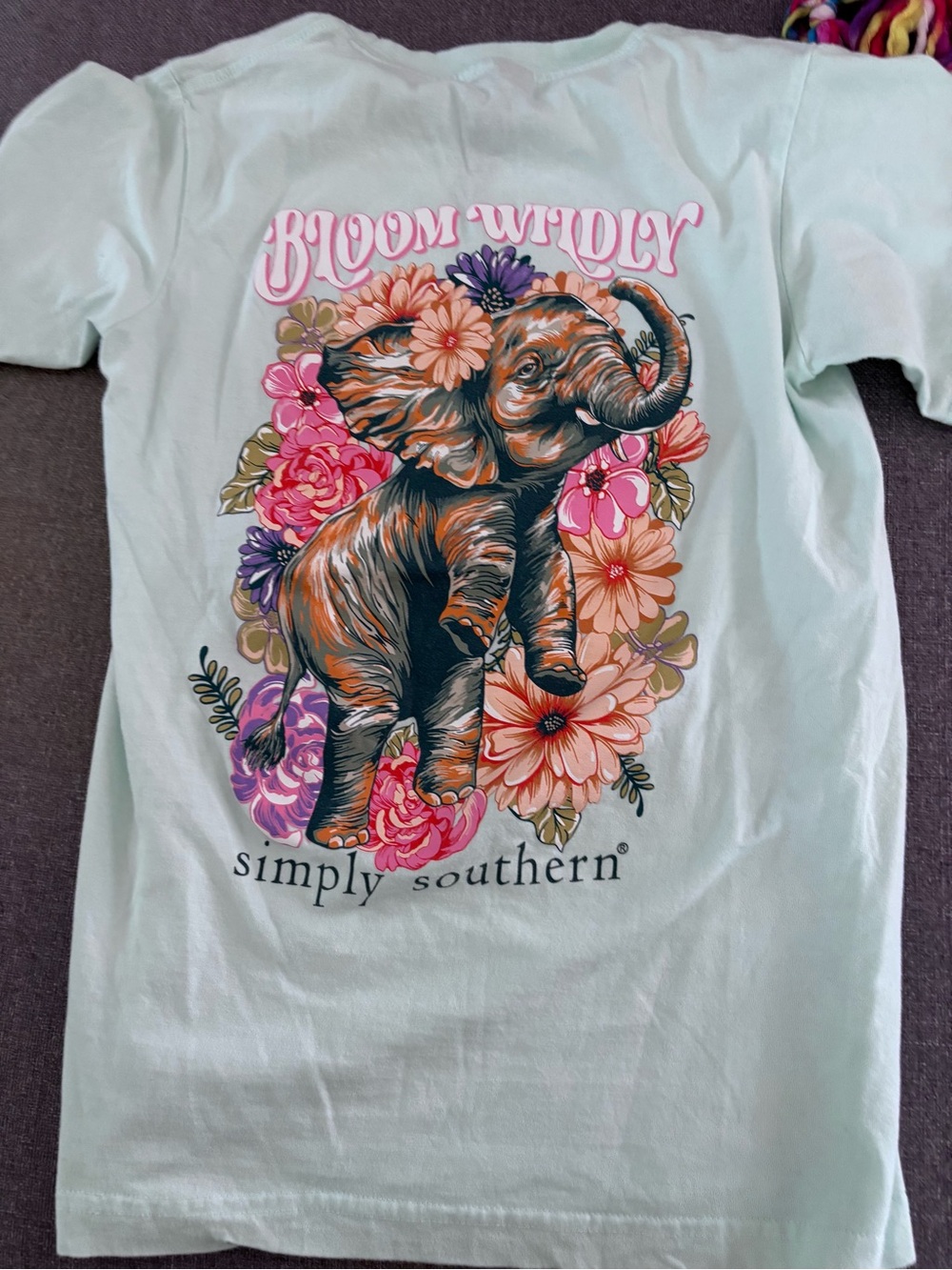 Simply Southern Mint Green Tee with Elephant Graphic